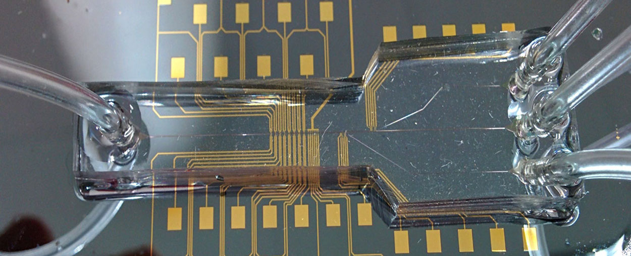 microfluidics_chip